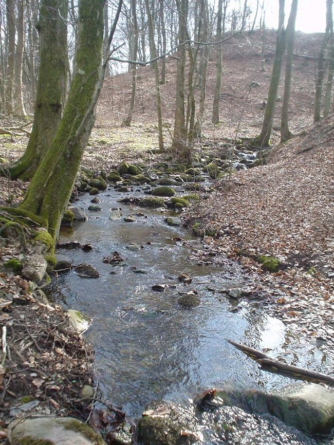 スウェですから激的なものはあくまでないです。ただこの自然保護区はいろいろ集約された感じがあります。
