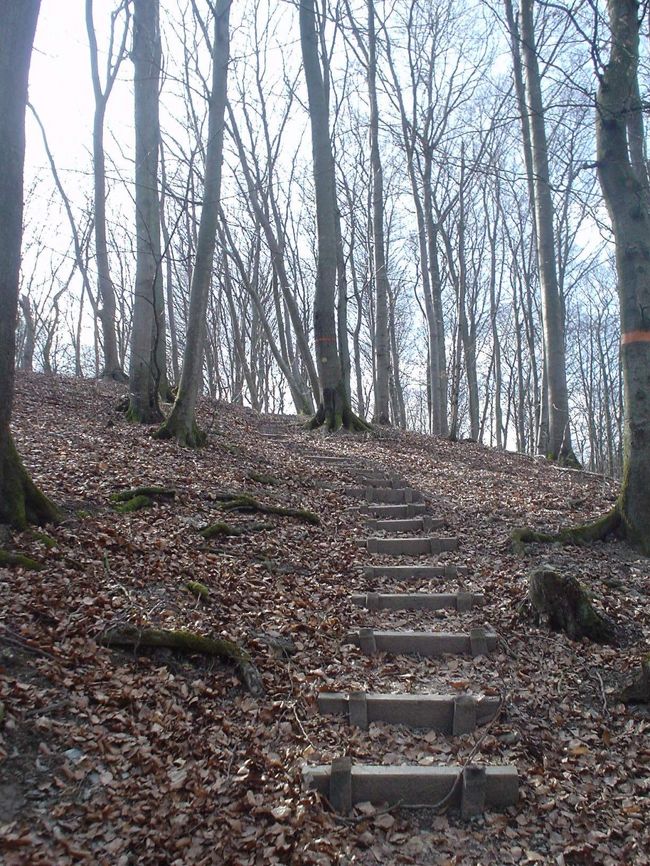 たまには登り。