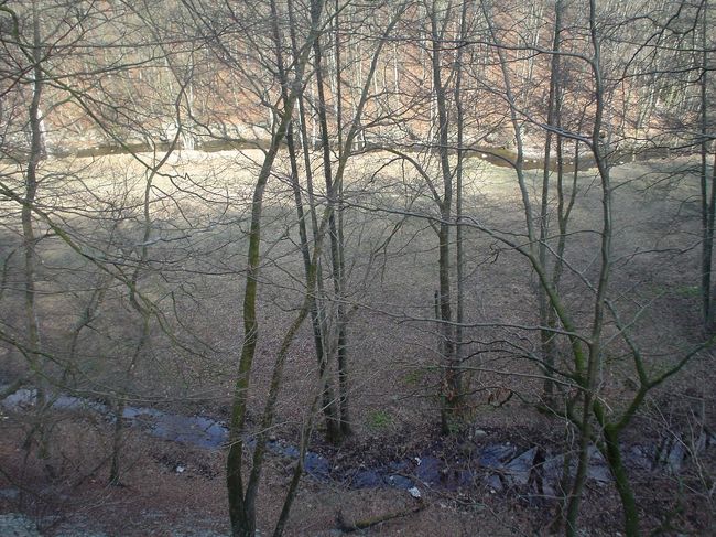 緑があればもっと綺麗でしょう。また来たいと思います。