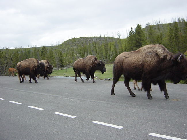 こんなもんじゃなかったけどねっ！！