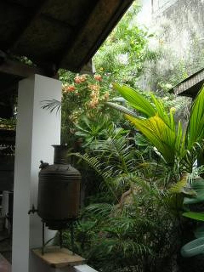 緑が豊かで素敵な空間。