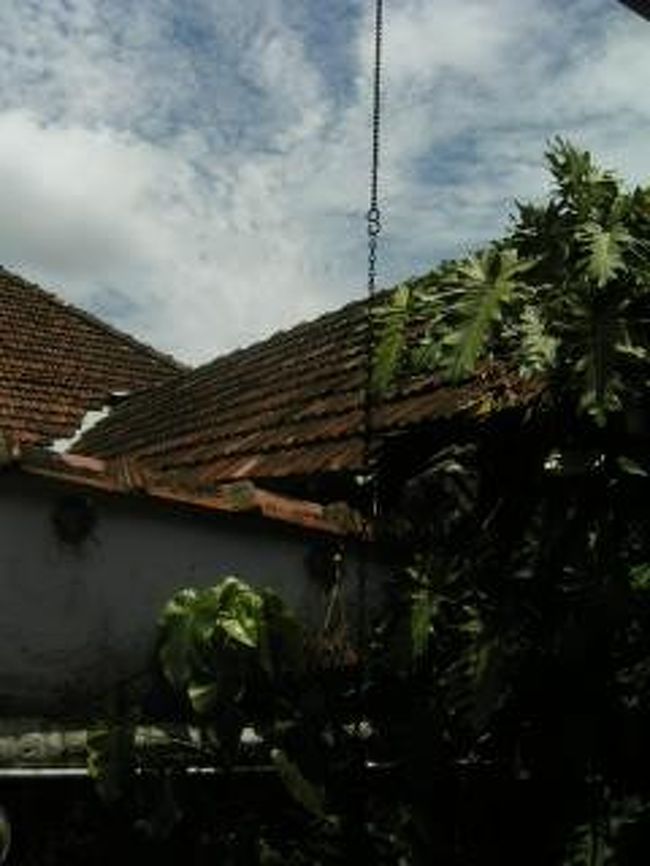 宿の部屋から見える風景。<br />何度か土砂降りに。でも久しぶりの雨は心地良い。<br />開放感があり、干渉もされず居心地良すぎる。<br />晴れてても、雨が降ってても、夜でも部屋にいるだけで気持ちがいい。<br /><br />『永遠の仔（天童荒太著）』という本があったので上下巻で厚かったけど読み始めたら止まらず。<br />こうして偶然に良い本を見つけられ、読める幸せ。