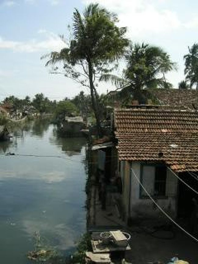 旅の疲れが出ていたので、コーチンではのんびりを決め込んでいたけれど、元気になってきたので散歩。