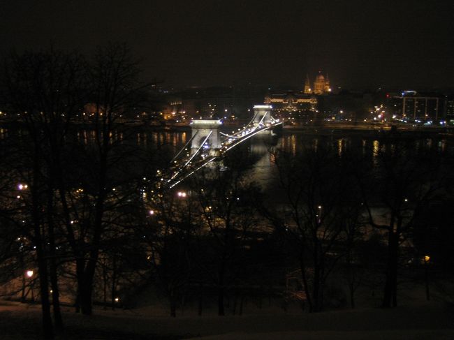 くさり橋。<br />ライトアップされていてキレイ。<br />寒さも吹き飛ぶ・・・わけではないけれど。