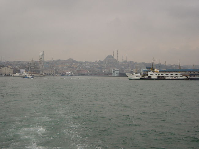 ボスポラス海峡クルーズに参加しました。以前、緒方拳さんが鉄道でシルクロードを旅する番組を見たのですが、その時夕暮れ時にボスポラス海峡クルーズをされているシーンがあったんです。その光景がとっても美しくて、それ以来憧れ続けていました。あいにく夕方ではなく、天候も曇りだったんですけどね。めちゃくちゃ寒かったけど、根性で船外の風景を楽しみました！