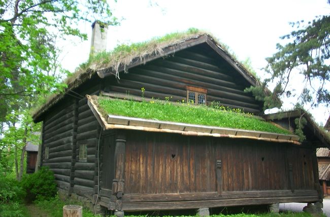 ノルウェーの農家です。屋根には草が生えていて花も咲いています。