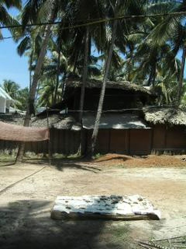 宿の敷地内。本を陽にあてて乾かしているところ。