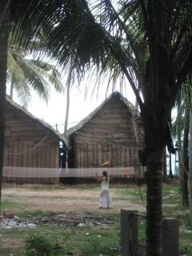 ある日の午後。ハンモックからの眺め。<br />これ、なんていうんだろう？コソ練し、技を磨くツーリスト。