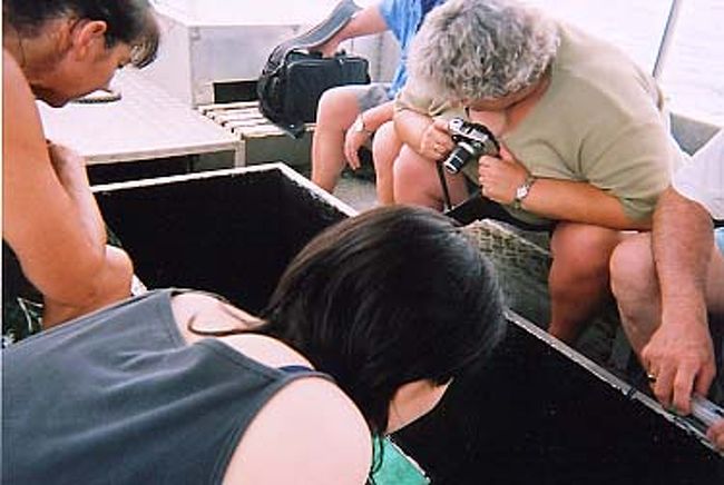 珊瑚とたくさんの魚が見える。みんな同じカッコで覗き込む。