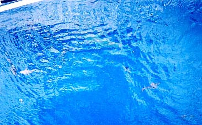 30分ほどで着くバリアリーフの先端では、巻き波に魚たちを求めて群がる鳥の姿が見えた。<br /><br />そして、海ではサメの影がちらちらと