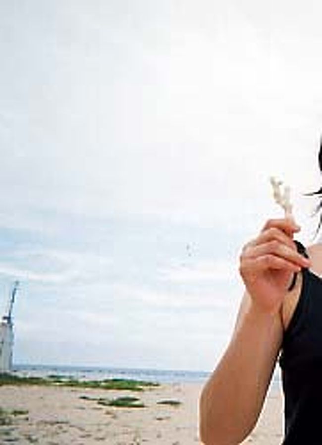 食事を終えてビーチを散策。サンゴの破片が砂浜にたくさん落ちている。（ただしここは特別保護地区なので持ち帰り不可）