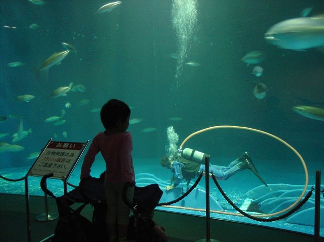 名古屋港水族館 愛知県の旅行記 ブログ By ３８うさぎさん フォートラベル