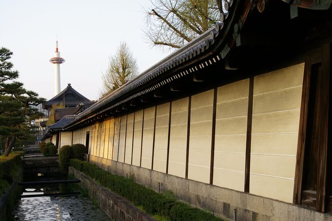 京都5 普通の町並み』下鴨・宝ヶ池・平安神宮(京都)の旅行記