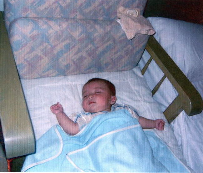 なちょz…z…z…