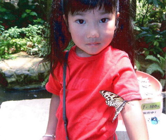 4日目にチェックアウトでやっとホテルの外に出た。<br />レンタカーを予約しておき、観光へ。<br />?沖縄フルーツらんど<br />ここには、沢山の蝶がいて『赤にいっぱい寄ってくる』と観光ガイドに書いてあり、それが目当てでこの暑い中、‘チー‘に暑苦しい赤のTシャツをわざわざ着せて行きました。ところが“チョウゾーン”。全くと言っていいほど近寄っても来ない。う−ん…