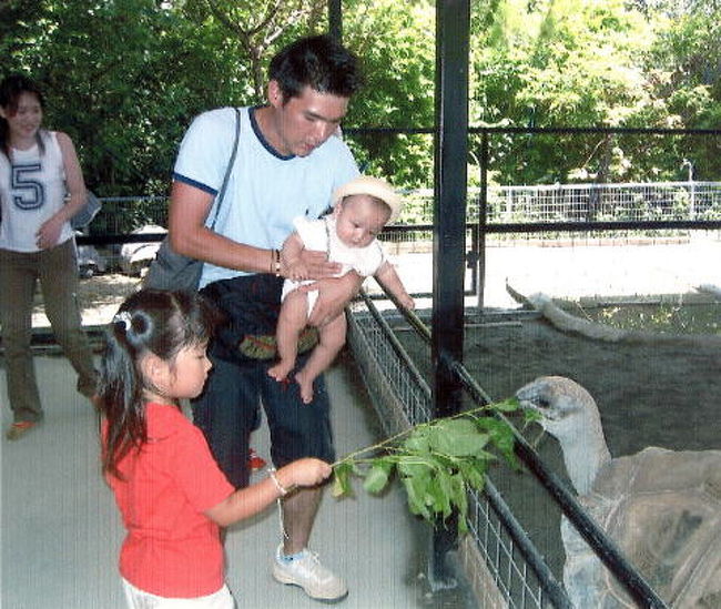 ?名護ネオパーク<br />ちょっと見かけ古くて寂しそうだが、ここでは‘ゾウガメ’に乗ったり（有料・表紙の写真がその場面です）出来る貴重なところ。ゾウガメって近くで見ても可愛かった。お子様にはお勧め！<br />