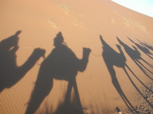 ☆シャドーdeラクダ☆<br />うふふっ！我ながらでかした写真の一枚！<br />そうそう、ラクダって乗り心地が悪いもんだと思ってたけど、私的には今まで乗った動物の中で一番乗りやすかった。<br />おとなしくって、まつげがフサフサで可愛かった！