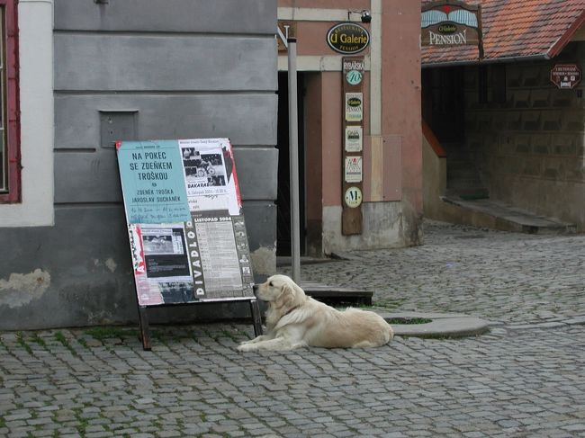 ☆チェスキー・クルムロフ　旧市街☆<br />犬まで絵になっちゃってるわよっ！