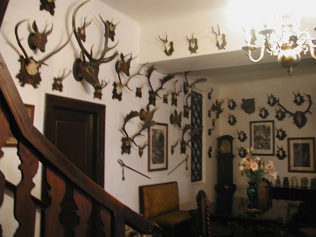 ☆古城　戦利品？☆<br />