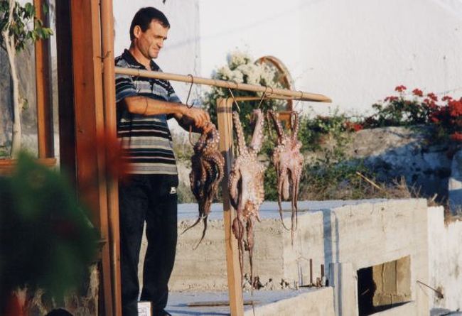 名物たこの干物。