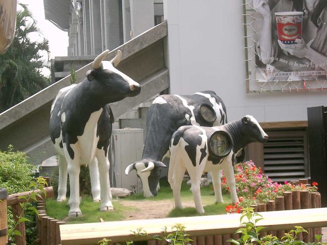 中正文化中心近くの喫茶店の入り口に並んでいた牛達<br />（これって何だろう）<br />ヨーロッパでも牛って多いね