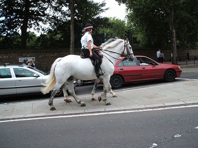 バッキンガム宮殿付近にいる、イギリスの警察。馬に乗ってるんですよ〜☆他では見られない光景ですね。サスガ、王室のある国は違いますな。