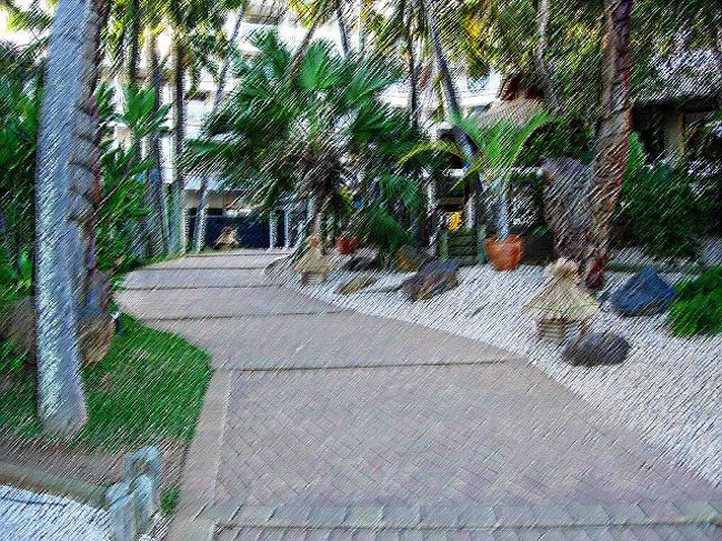 裏の玄関です。ビーチにつながるからでしょうか。とってもしゃれていました。