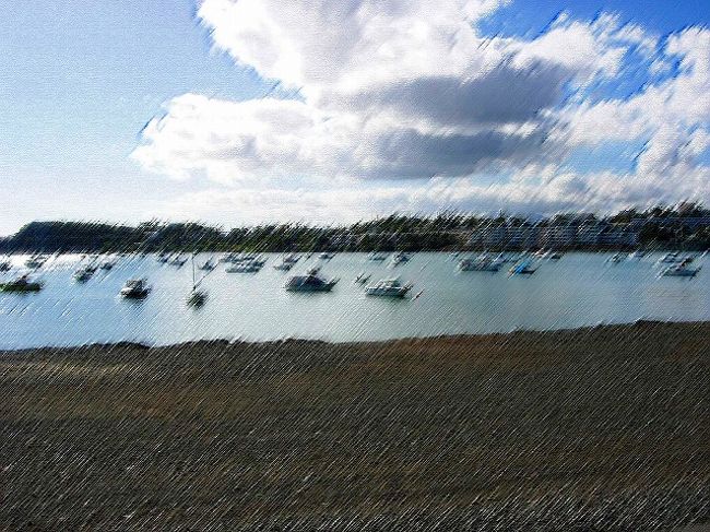 ヨットが遊べる場所は指定してあったように思います