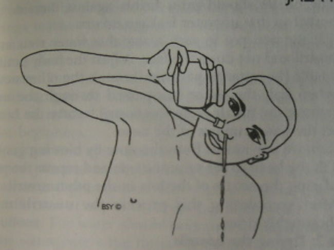 ヨガってポーズを取る以外にも色々ある。<br />で、その中の一つが浄化。<br />鼻洗浄は前から知っていたけど、今回は胃洗浄なるものを知った。<br />知っただけじゃなくて、やった。<br /><br />ぬるい塩水をコップ３〜６杯一気飲みして、お腹に手をあて、喉に指突っ込んで吐く。朝っぱらから．．．（週１回、土曜のみ）<br />外でちょっと高くなったとこでみんなで一列になって！<br /><br />やりたくなかったらやらなくても良かったんだけど、腹くくって（半くくりだったが）やった。<br />もう１杯目で、自然と気持ち悪くてぴゅーって吐きだしてしまう始末。<br />それじゃ足りないってもっと飲めと言われるものの入っていかない。でも、気合入れて２杯目を一気飲みしたら、やっぱり喉に指しなくても自然と吐けた。今度はちゃんと悪いヤツ（水だけじゃなく、苦いの）がしっかり出た。胃が洗浄された。<br />思ったよりも苦しくなかったのは救い。<br />みんな顔真っ赤にして、涙流してた。<br />酔って気持ち悪くても喉に指突っ込んで吐けないあたしはかなりこの胃洗浄を恐れていたんだけど。<br /><br />そして鼻洗浄。 *写真参照！<br />こっちは未経験だけど、大して恐ろしくなかった。<br />日本のヨガクラスは花粉症の人が多くて、み〜んなやってたから。<br />同じくぬるい塩水を片方の鼻に入れ、もう片方から出すだけ。<br />真水では痛いけど、塩水なら大丈夫。<br />（かなり効くらしい。花粉症の人はぜひ！）