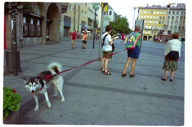 いぬは行きたく無い様で。