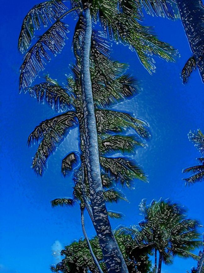 海ばかりではありません。ここには日本ではみることのできないきれいな空もあるんです