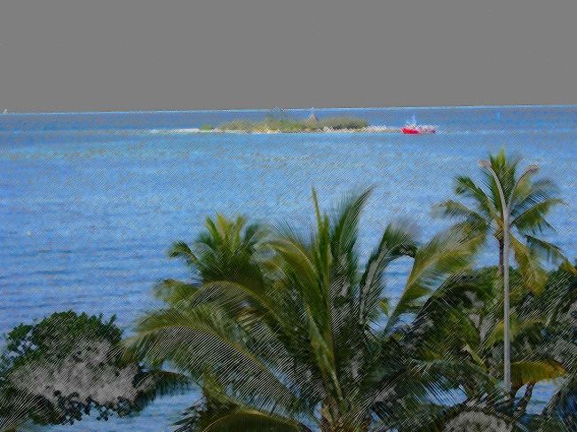 いろいろにアレンジしてみると楽しいです<br />いかがですか