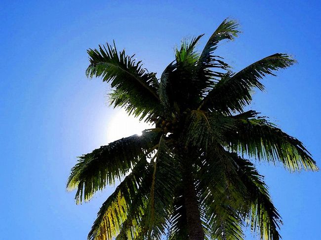 青い海の方がお好きですか