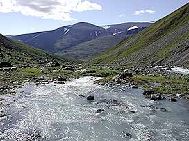 初めは深い谷の中を行きます。上部に氷河があるせいか水量のおおい谷です。
