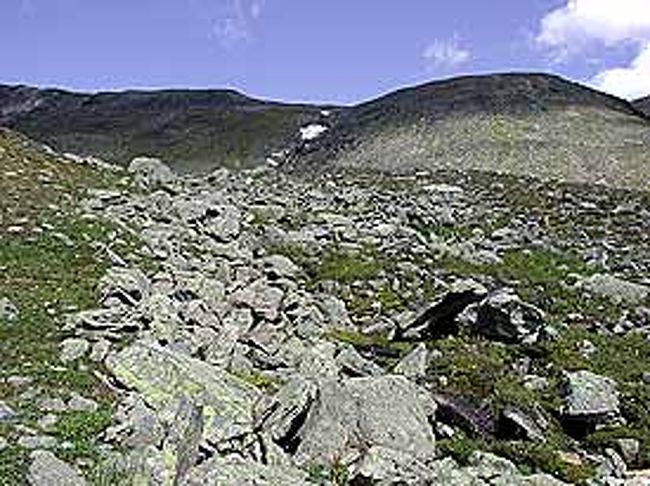 少し急な登りを登ると、あたりがすごく開けてきます。ちょっと休憩です。