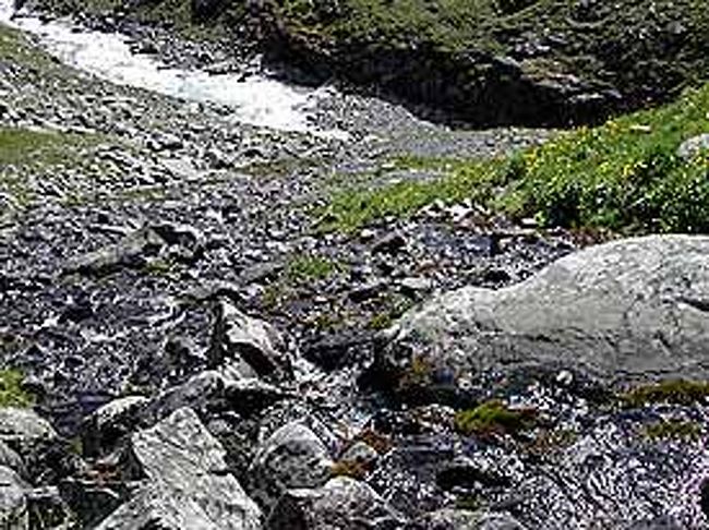 沢から少し離れて、上から見下ろすような感じになりました。