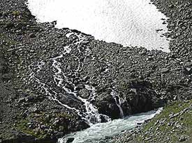 対岸の山肌です。雪田から雪解け水が流れ出ています。