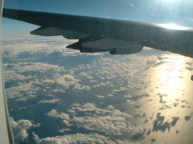 JALのリゾッチャで行きました。<br />コンソメスープがおいしかった。