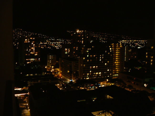 前の写真の夜景バージョン