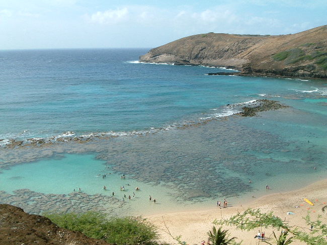 ハワイは、島の北と南では、海の色が違うんです。<br />波の高さも違うんです。