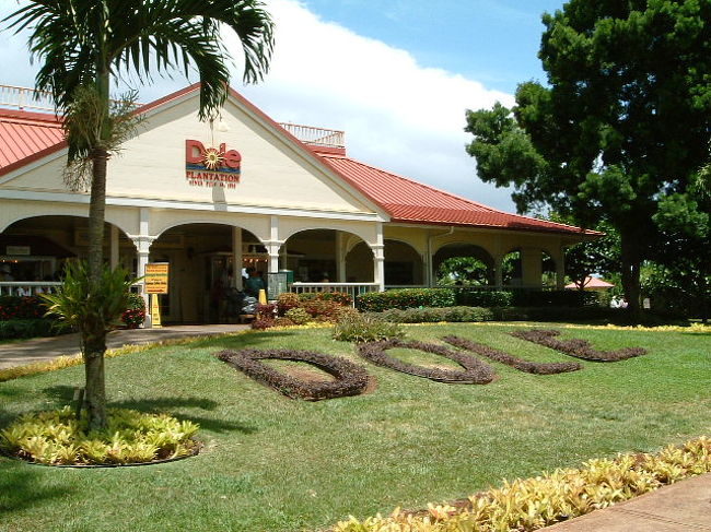 ジュースで有名なDOLLの畑<br />パイナップルソフトクリームがおいちー