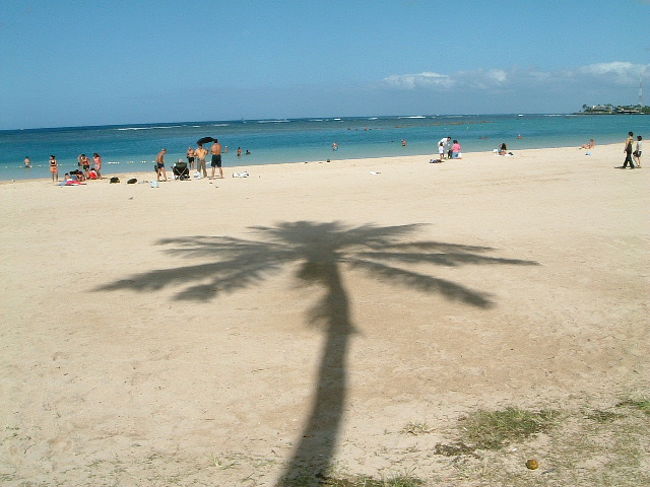 アラモアナパーク<br />ショッピングセンターの横にある公園。<br />風がとっても気持ちいい！！海にも入れます。<br />公園にシャワーがあります