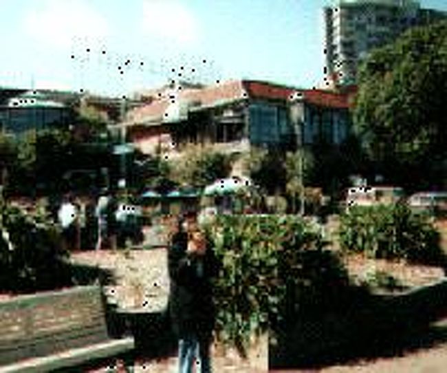 ←◇『チョコレートで有名なギラデリィ・スクエア』 <br /><br />そのまま「かつてのデルモンテ缶詰め工場」を改造した「カナリ−」に行き、その隣のアンカレッジ・ショッピング・センターに寄って、私は「LLサイズのGパン」を買いました♪<br /><br />フィッシャマンズ・ワーフの屋台でクラム・チャウダーとシーフード・サンドイッチを買って・・波止場のベンチでブランチを取りました♪<br />