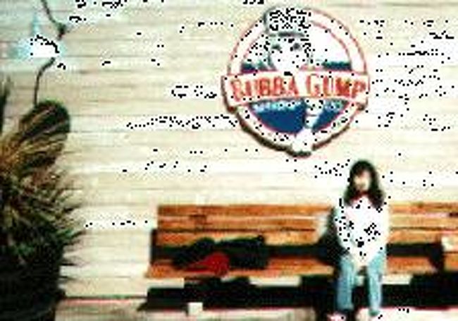 ←◇『バッバ・ガンプ』<br /><br />「楽しい船上でのひととき」を終えてから、次に向かったのは「PIER39」というショッピング・モールで、この中にある「スリッパ専門店」でSSはネコ柄のデカイやつを♪<br /><br />靴下専門店でも可愛いのを何足か♪買い足して映画「フォレスト・ガンプ」をモチーフにしたレストラン「バッバ・ガンプ」では海老をしこたま食べましたぁ〜♪ 