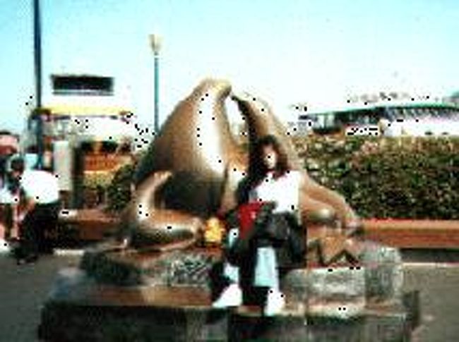 ←◇『あざらしのオブジェの前にて』<br /><br />食後は「サンフランシスコ湾の遊覧船」に乗りました♪(^o^)/~~色々な種類の遊覧船があって「ブルー・アンド・ゴールド」という船のコースにしました♪これは一人14ドル♪約1時間程のクルージングで「アルカトラズ島」には上陸しませんが「ゴールデン・ゲート・ブリッジ」の真下を通ります♪これコースはなかなかお奨めですよぉ〜♪<br /><br />ただし、海風が強く寒いので、ジャケットなど一枚用意した方がよいと思います！