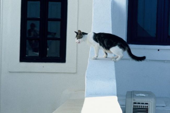 サスケのジャンプ１