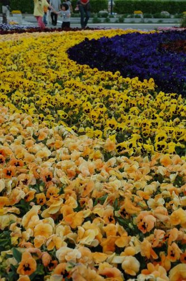 入り口の花壇。