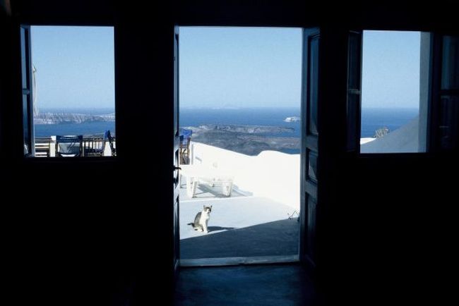 部屋の中の様子を伺うトミー?