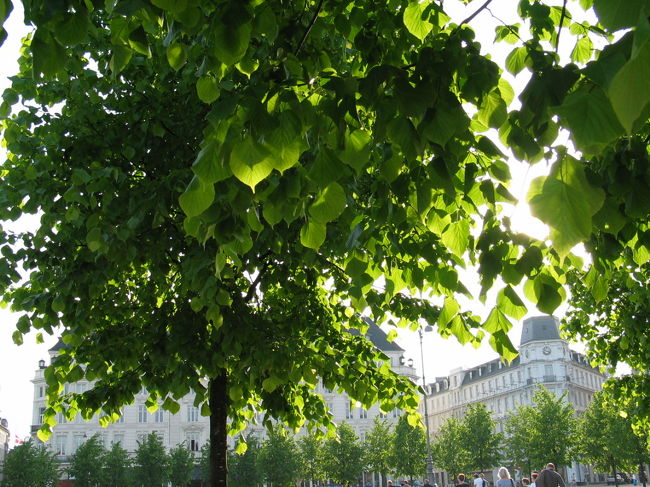 ニューハウンをはなれるとさっきの人の多さが嘘のようにです。<br />静かで落ち着きます。