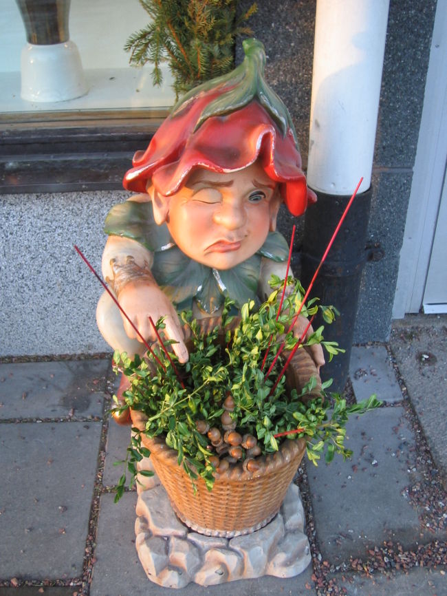 なんでそんな顔してるの??<br />どんぐり、キライ???